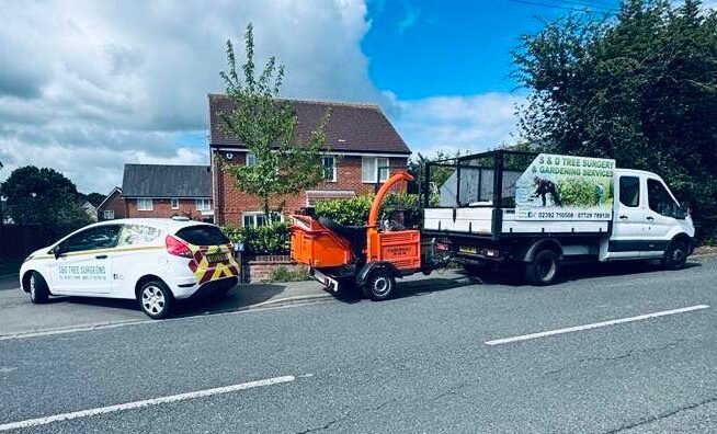 tree surgeon waterlooville